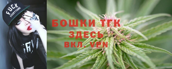 эйфоретик Новодвинск