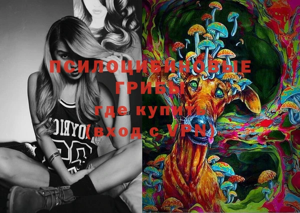 амф Новокубанск