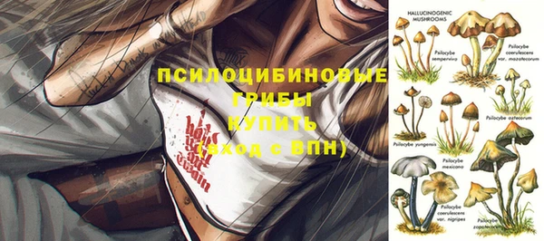 амф Новокубанск