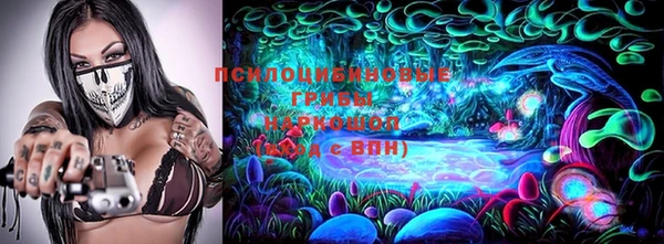 марки lsd Новозыбков