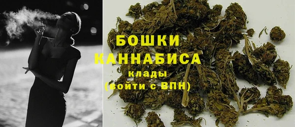 эйфоретик Новодвинск