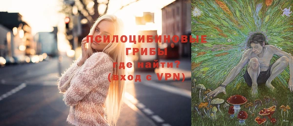 марки lsd Новозыбков