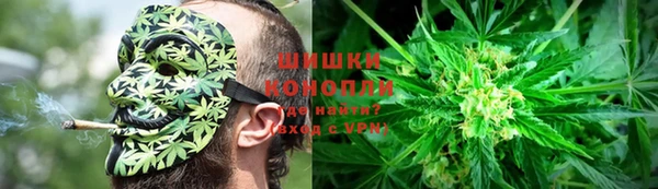 эйфоретик Новодвинск