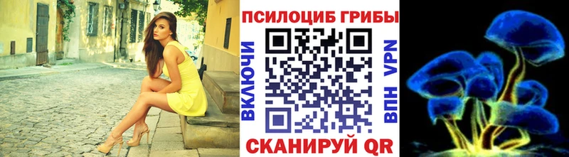 Псилоцибиновые грибы мицелий  гидра зеркало  Тюкалинск 